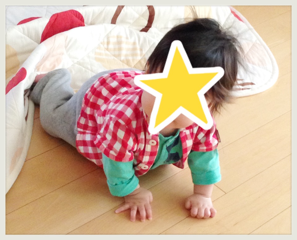 こたつむり主婦 Com こたつむり主婦 Com